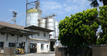 follador production and sale of corn cob