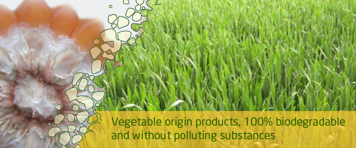 03-vegetable-biodegradable-products.png