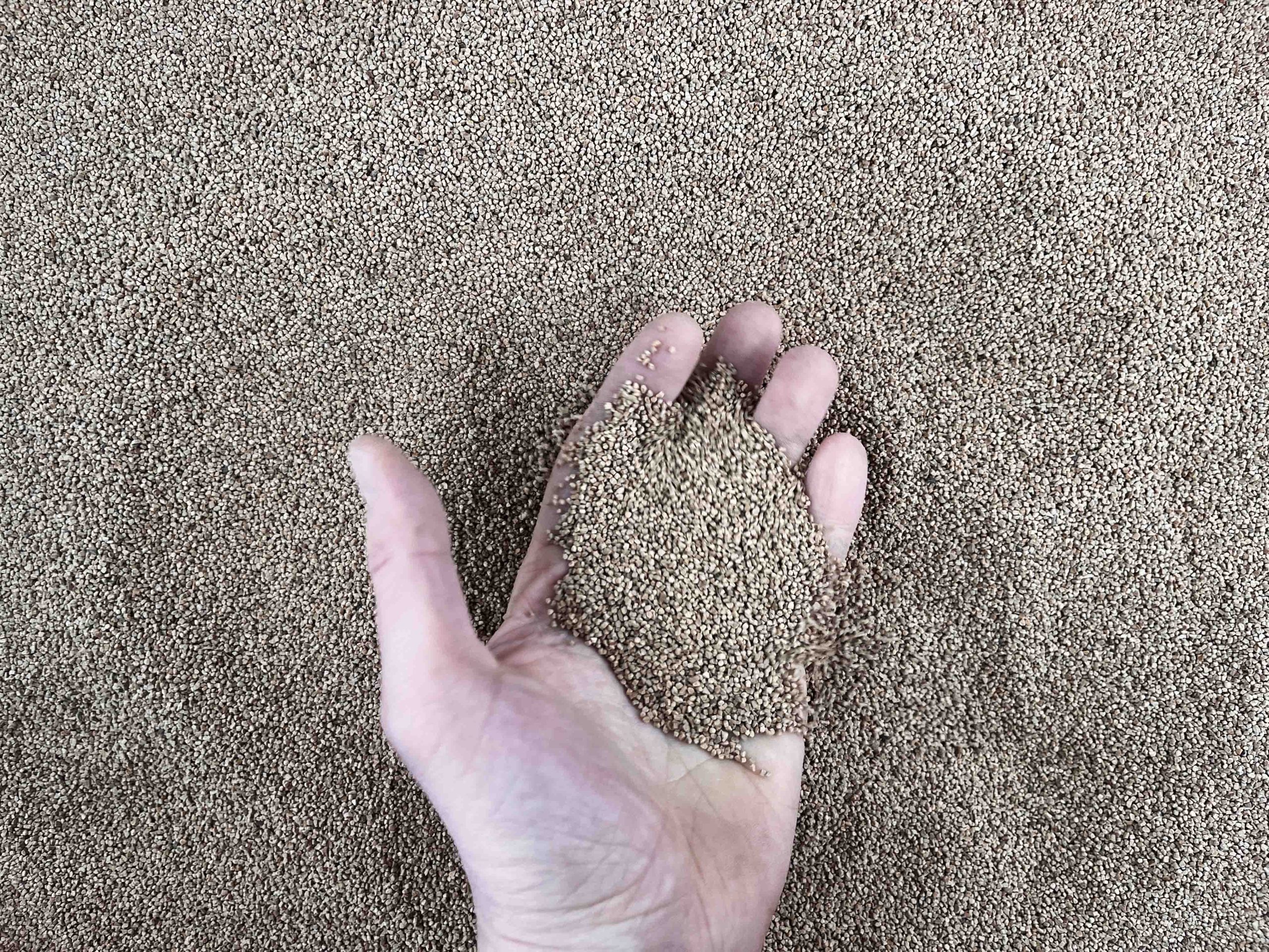 macinazione del guscio di noce, lavorazione del guscio di noce, produzione granuli di guscio di noce, sabbiatura noce, vibrofinitura noce, granuli abrasivi guscio di noce