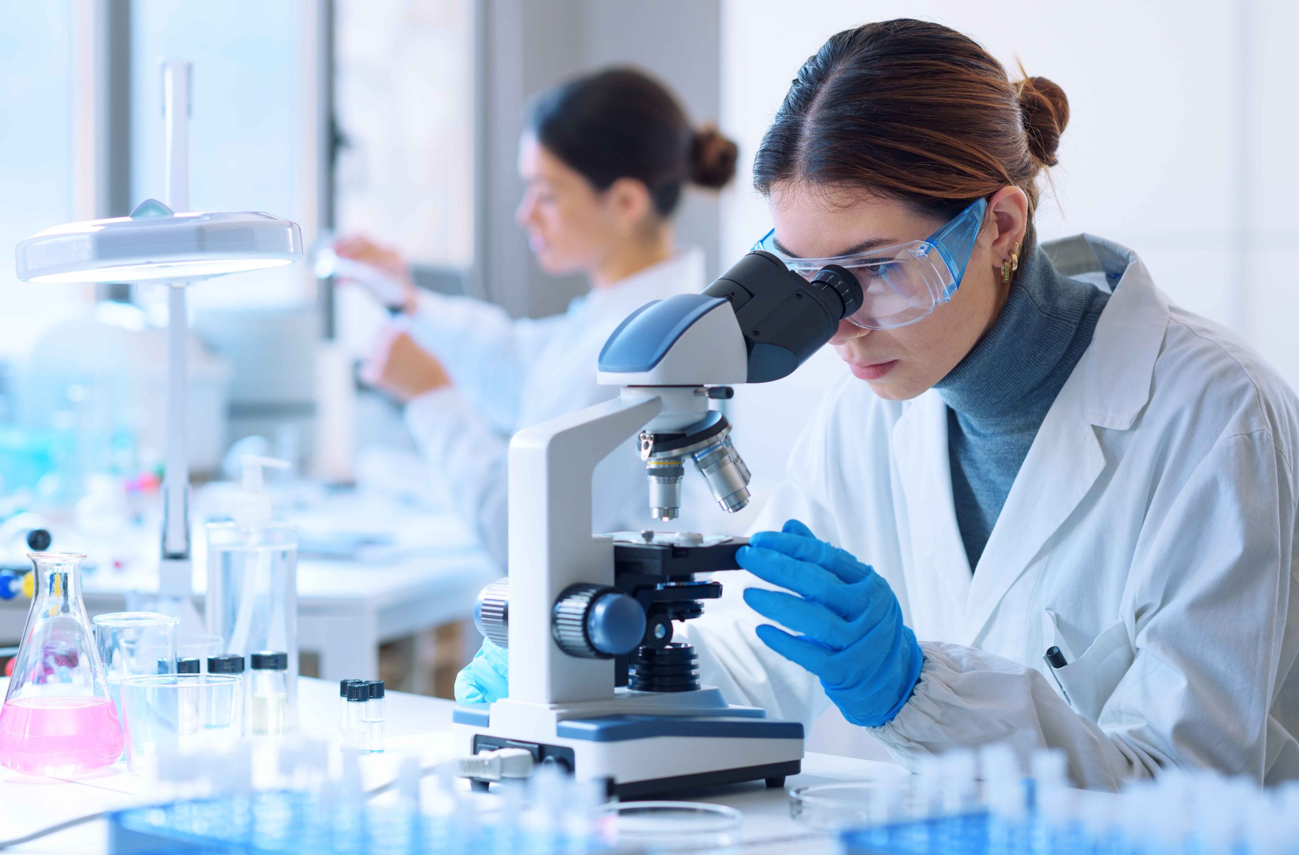 tutolo di mais uso zootecnico, tutolo di mais ruminanti, zootecnia, tutolo di mais supporto integratori, tutolo di mais supporto vaccini, tutolo di mais bovini tutolo di mais uso zootecnico, tutolo di mais ruminanti, zootecnia, tutolo di mais supporto integratori, tutolo di mais supporto vaccini, tutolo di mais bovini