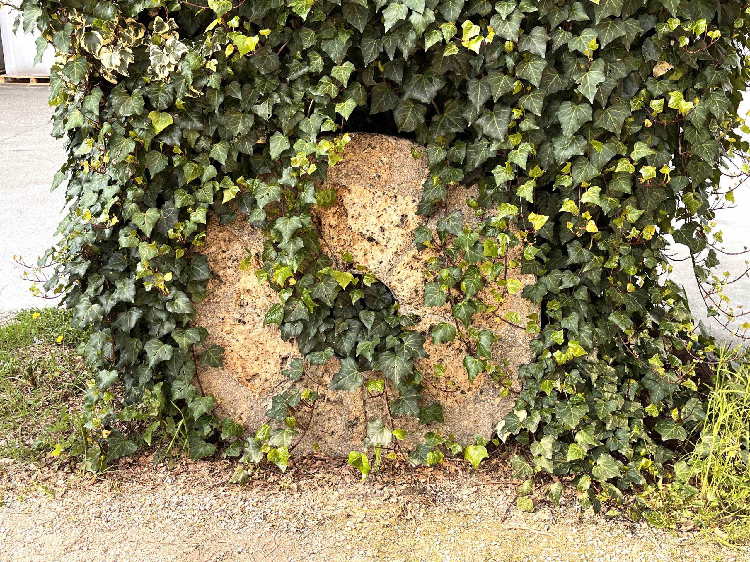 Produzione e vendita di granuli di tutolo di mais e granuli di gusci di noce Produzione e vendita di granuli di tutolo di mais e granuli di gusci di noce